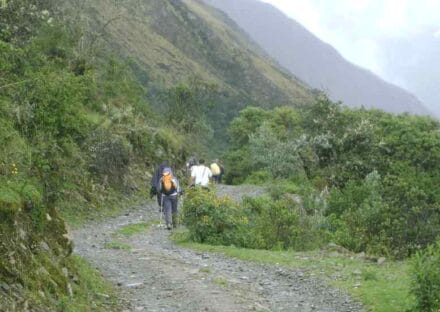 Galeria de miniaturas