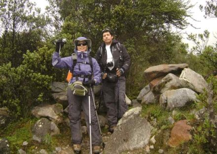 Galeria de miniaturas