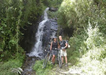Galeria de miniaturas