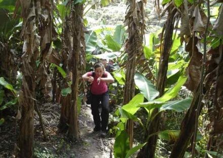 Galeria de miniaturas