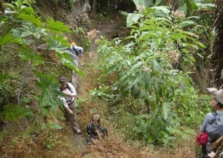 Galeria de miniaturas