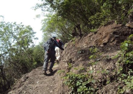 Galeria de miniaturas