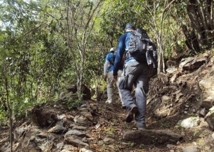 Galeria de miniaturas