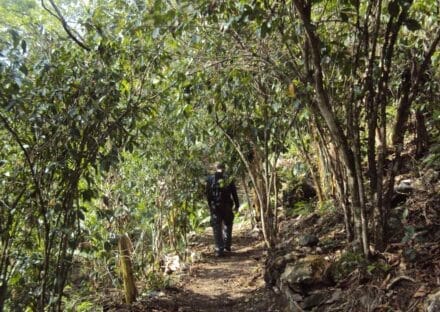 Galeria de miniaturas