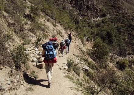 Galeria de miniaturas