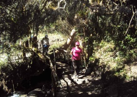 Galeria de miniaturas