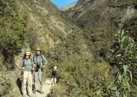 Galeria de miniaturas