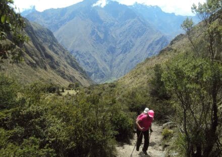 Galeria de miniaturas