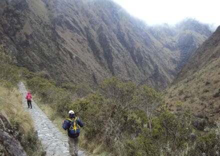 Galeria de miniaturas