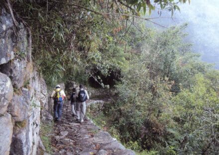 Galeria de miniaturas