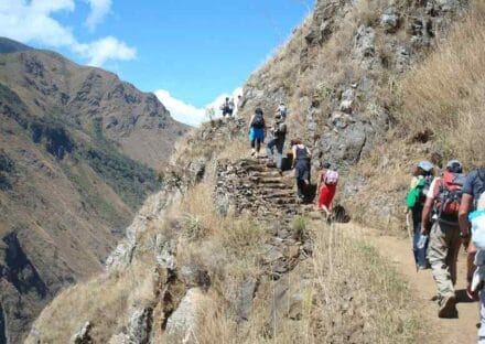 Galeria de miniaturas