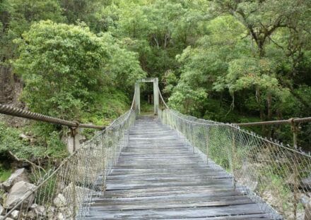Galeria de miniaturas