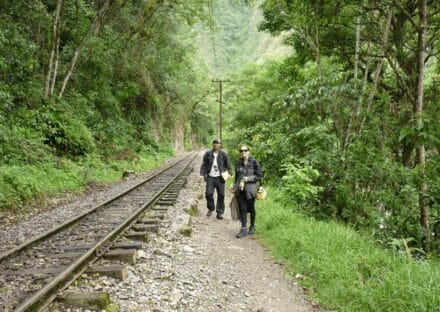 Galeria de miniaturas