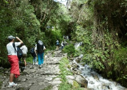 Galeria de miniaturas