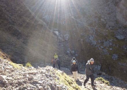 Galeria de miniaturas