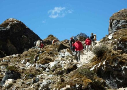 Galeria de miniaturas