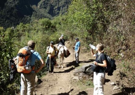 Galeria de miniaturas