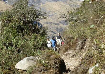 Galeria de miniaturas