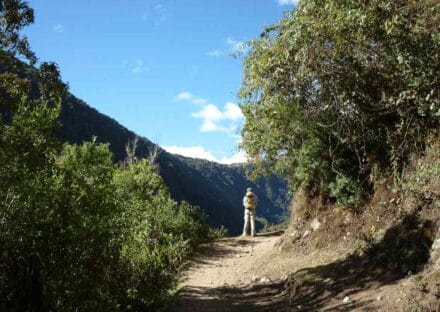 Galeria de miniaturas