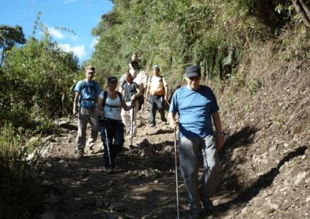 Galeria de miniaturas
