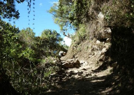 Galeria de miniaturas