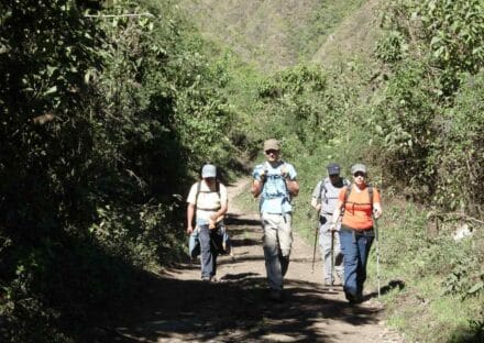 Galeria de miniaturas