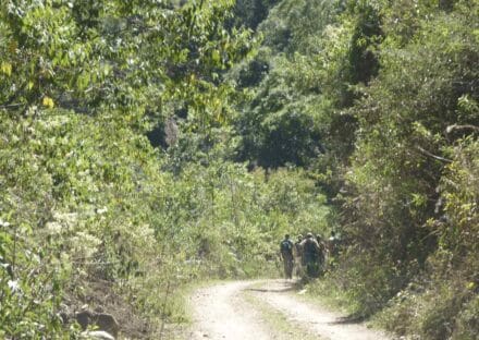 Galeria de miniaturas
