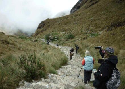 Galeria de miniaturas