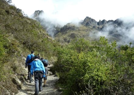 Galeria de miniaturas