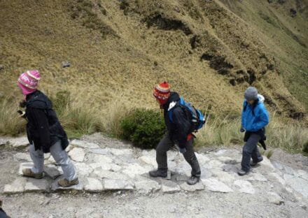 Galeria de miniaturas