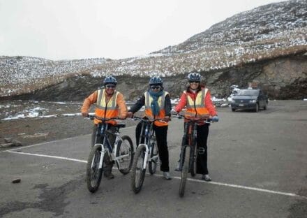 Galeria de miniaturas