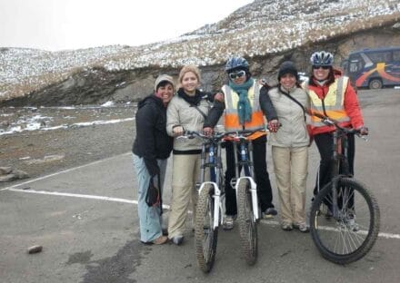 Galeria de miniaturas