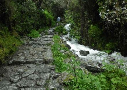 Galeria de miniaturas