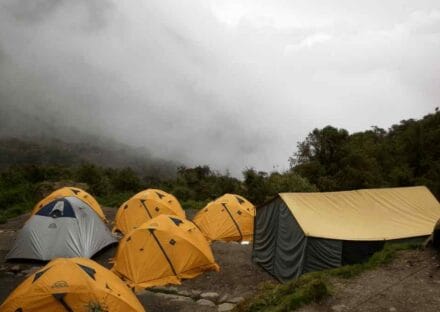 Galeria de miniaturas