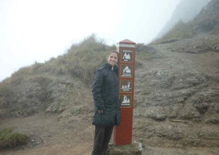 Galeria de miniaturas