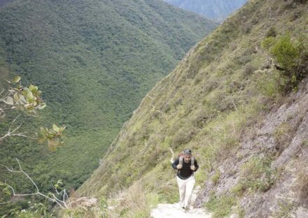 Galeria de miniaturas