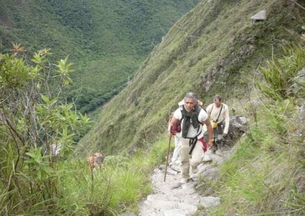 Galeria de miniaturas