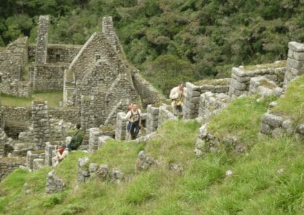 Galeria de miniaturas