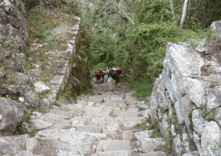 Galeria de miniaturas