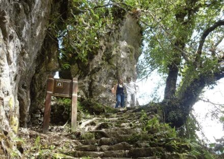 Galeria de miniaturas