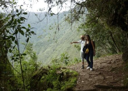 Galeria de miniaturas