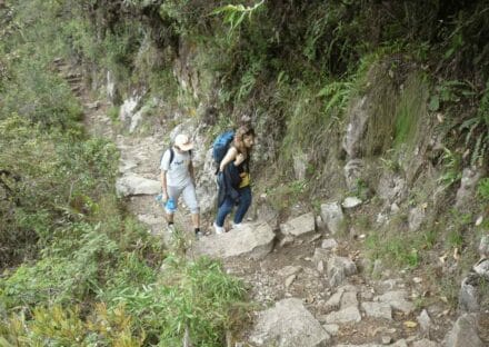 Galeria de miniaturas