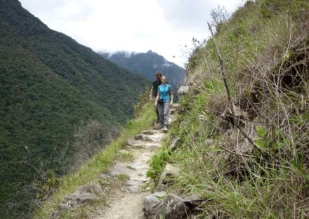 Galeria de miniaturas