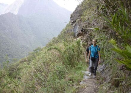 Galeria de miniaturas