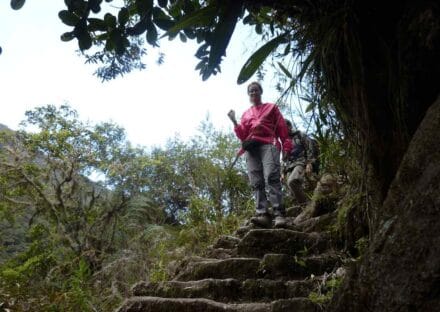 Galeria de miniaturas