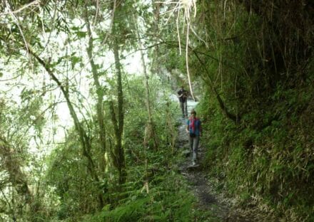 Galeria de miniaturas