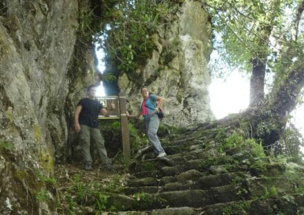 Galeria de miniaturas