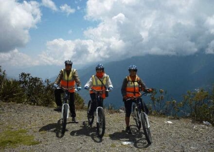 Galeria de miniaturas