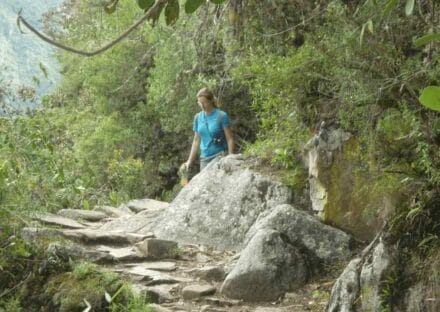 Galeria de miniaturas