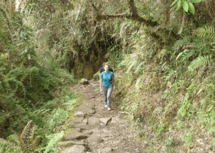 Galeria de miniaturas